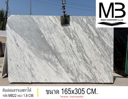 �Թ��͹����ʡ��� (���� MB22)